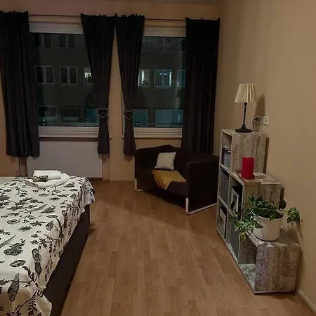 Innenstadt Appartement